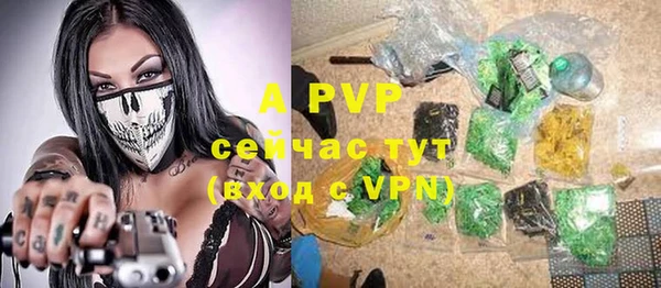 молекула духа Няндома