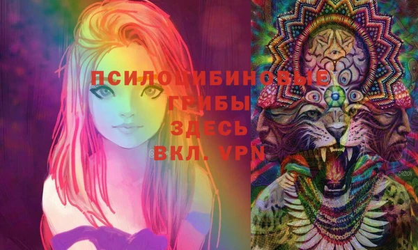героин Алексин